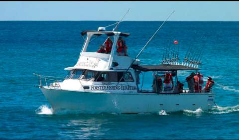 Photo: Forster Fishing Charters